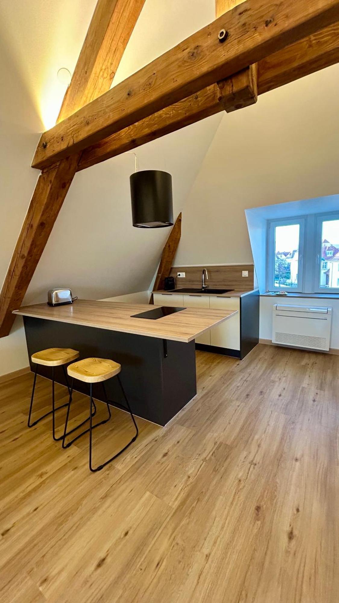Appartement Moderne Et Spacieux, A 10 Min De La Gare Colmar Eksteriør bilde