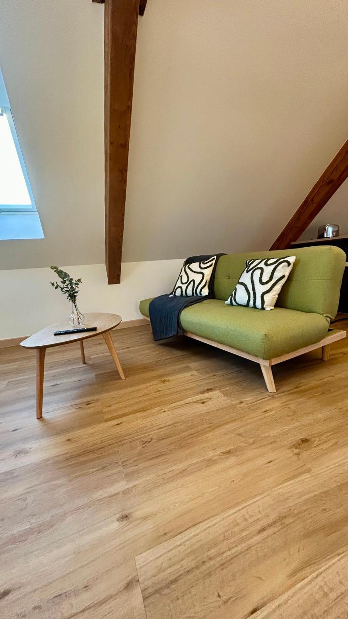Appartement Moderne Et Spacieux, A 10 Min De La Gare Colmar Eksteriør bilde